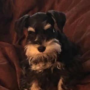 Meet your Posher, Sharon